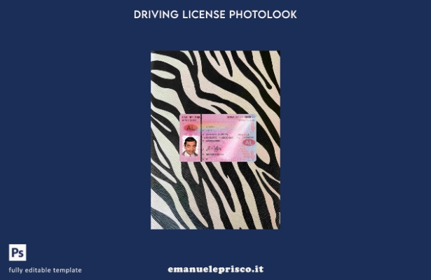 modello FRONTALE photolook stile Albania DL ( ).